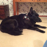 Isabella (Izzy) Pomerantz